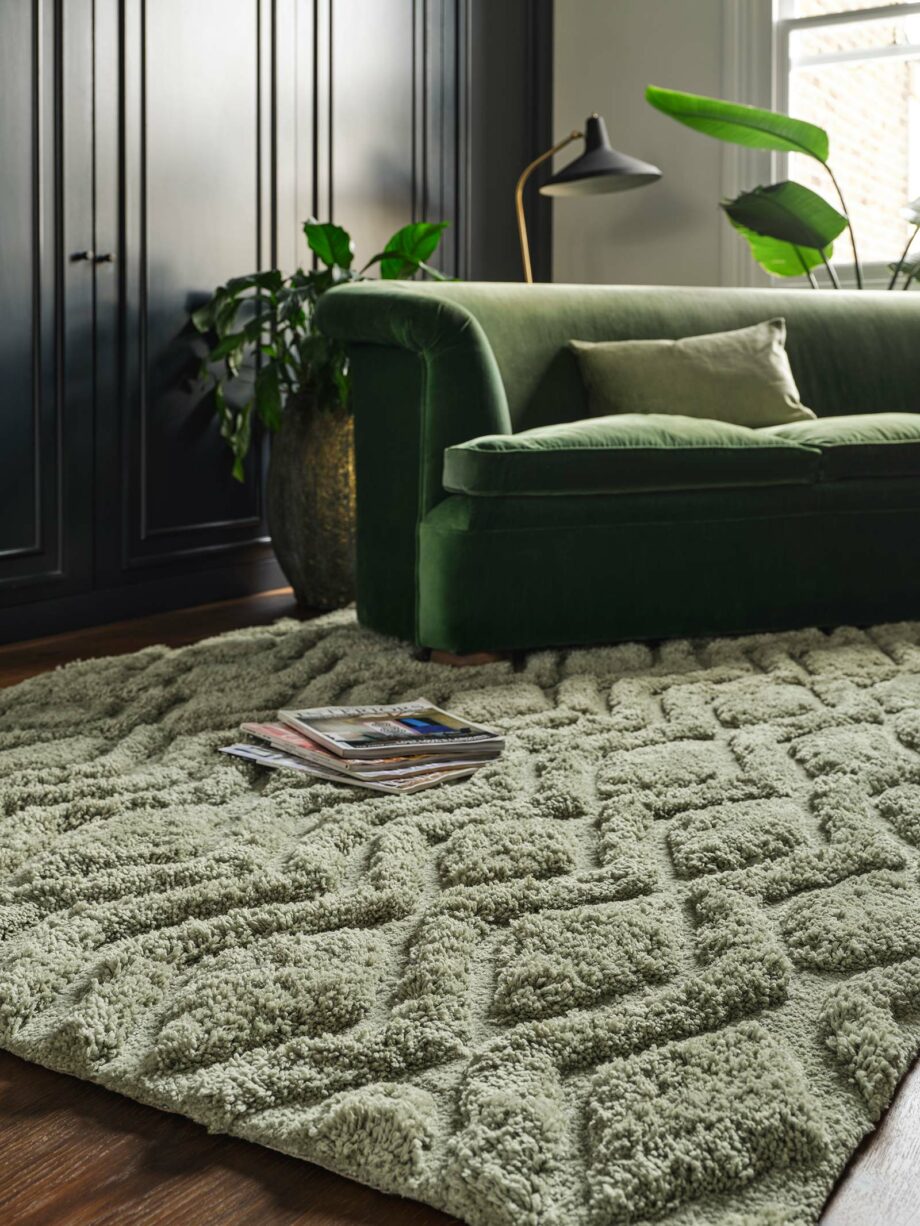 Asiatic Harrison Sage LS
