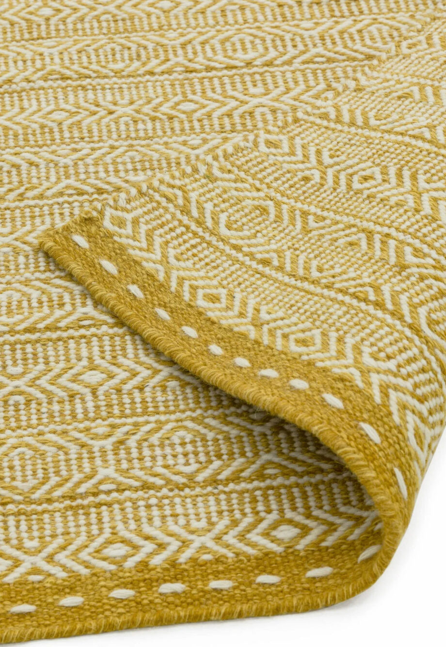 Asiatic Knox ochre 3