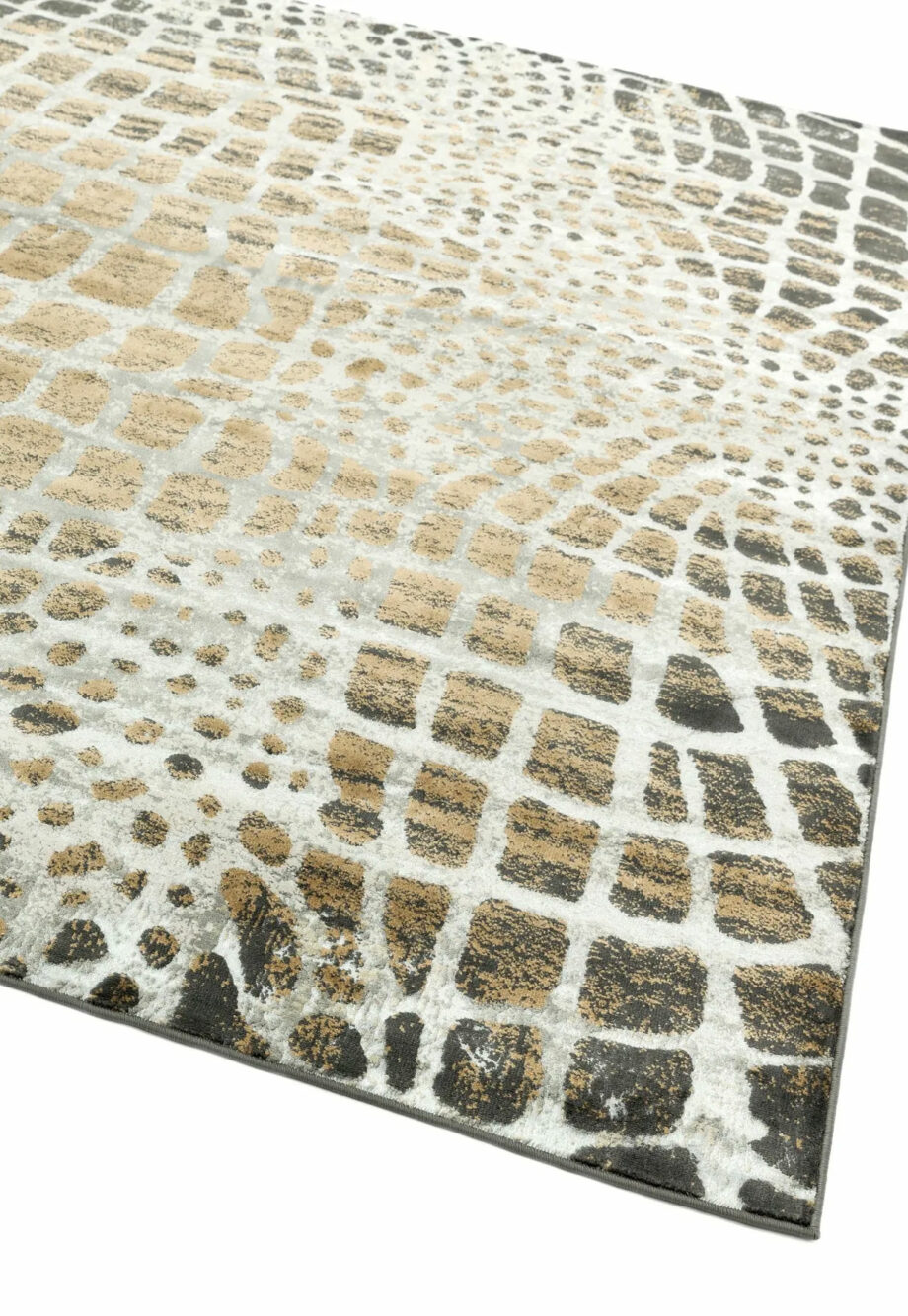 Asiatic Quantum QU02 1