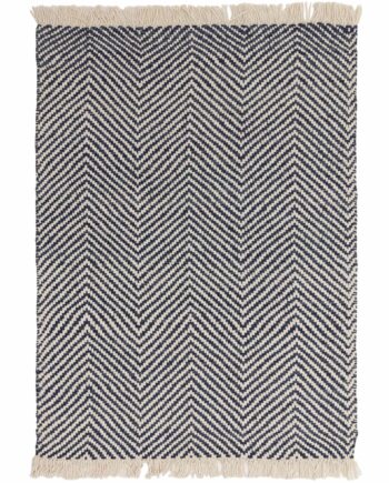 Asiatic Vigo navy