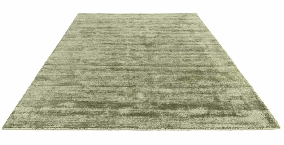 Asiatic teppe Blade Sage 3D