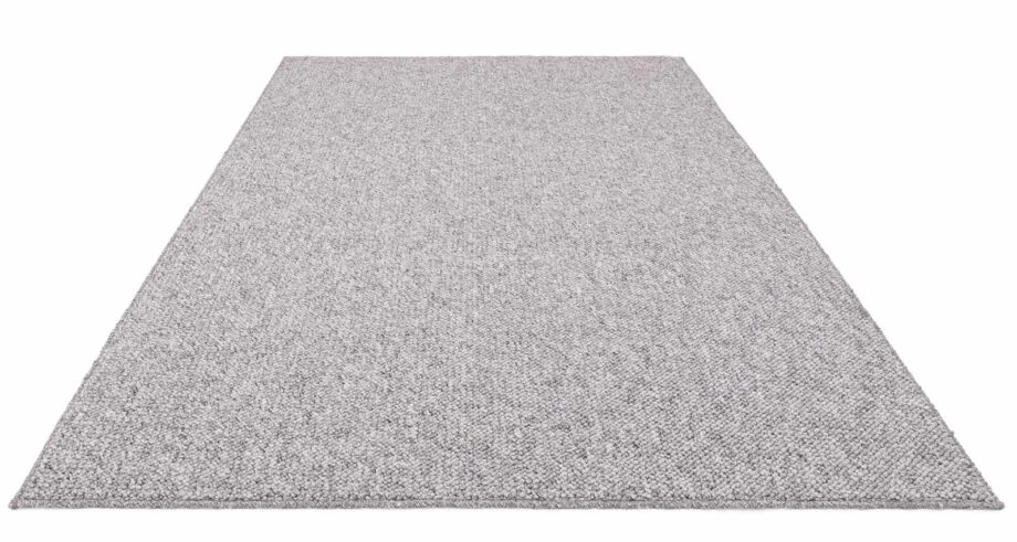 Asiatic teppe Boden Grey 1 3D