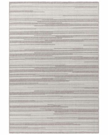 Asiatic teppe Camber Stripe Grey
