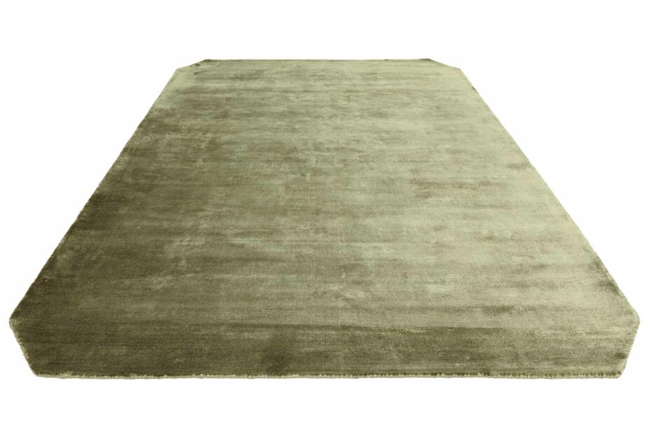 Asiatic teppe Gleam Sage 3D