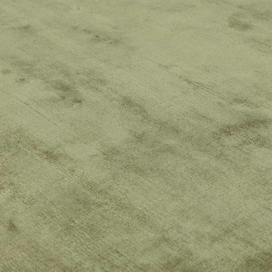 Asiatic teppe Gleam Sage 4