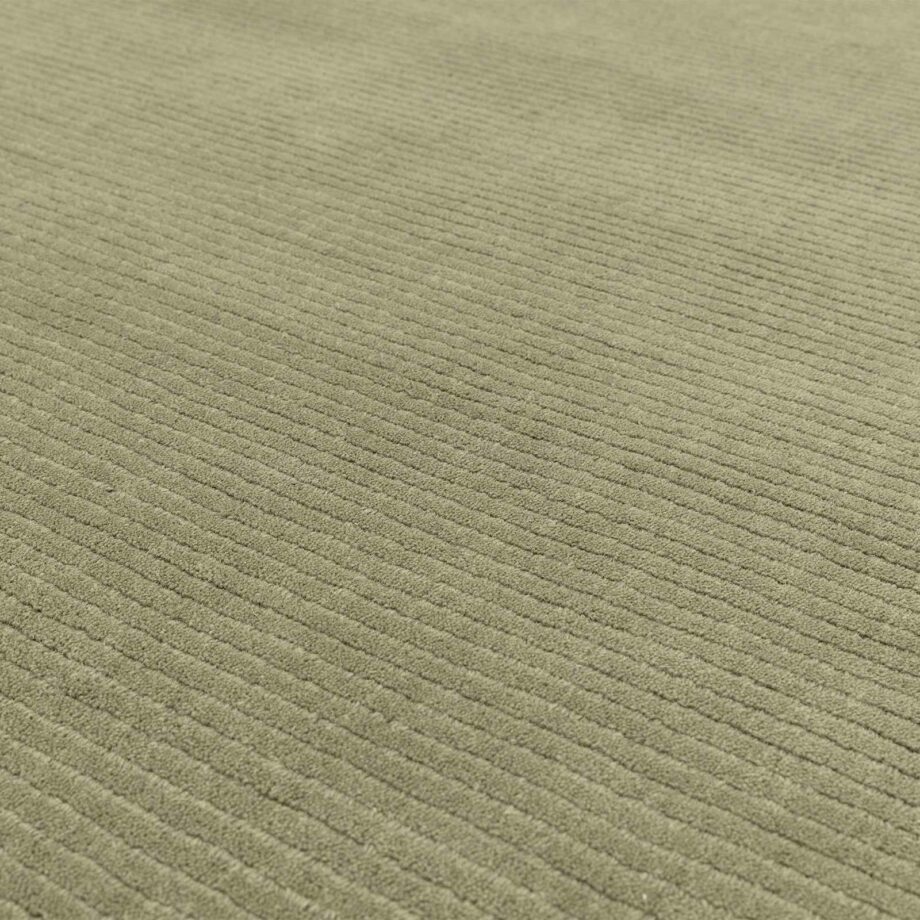 Asiatic teppe York Sage 4